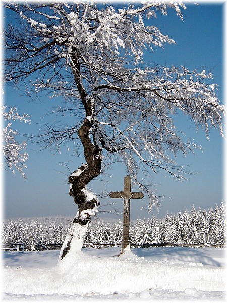 u Sklen�ho