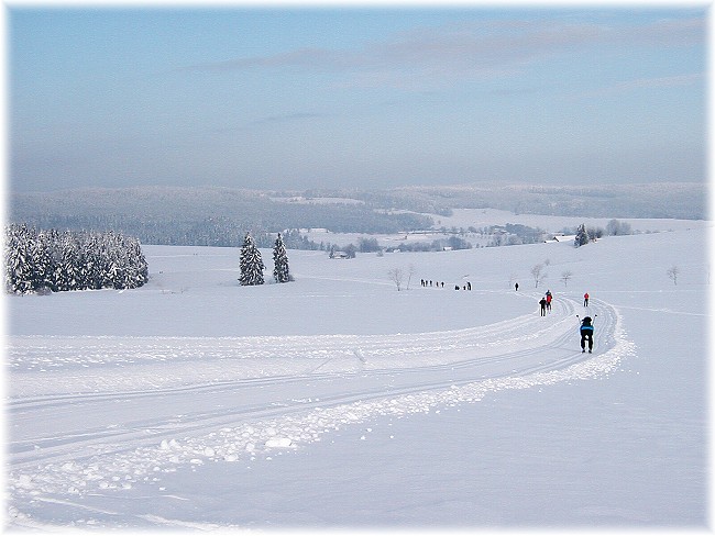 upravená stopa u Třech Studní