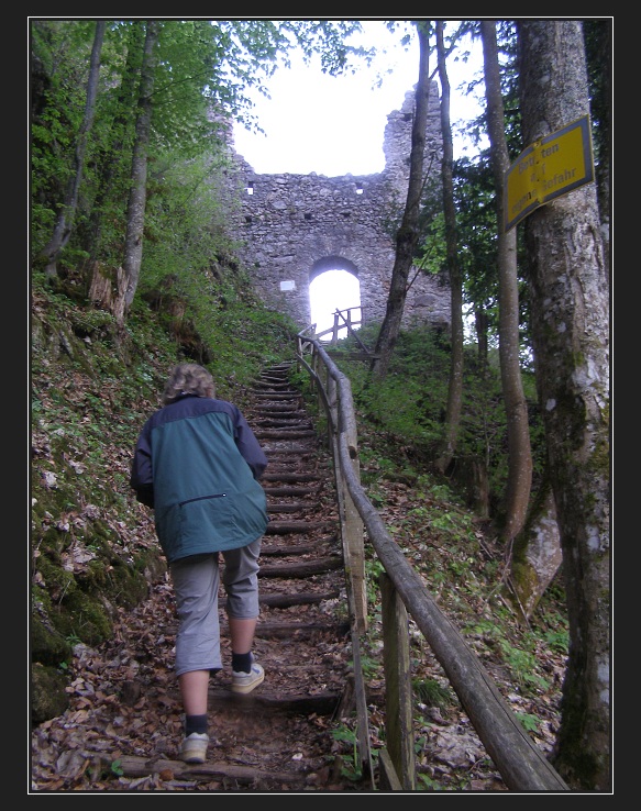 Enžská cyklostezka