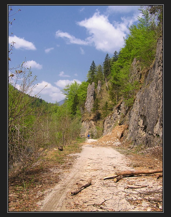 Enžská cyklostezka