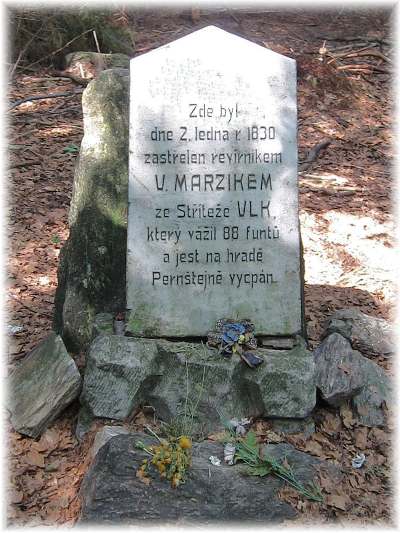 poslední zastřelený vlk Vysočiny