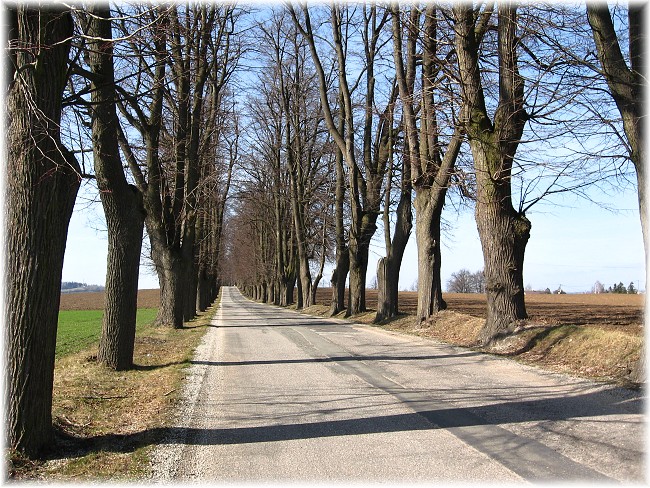 Krčma
