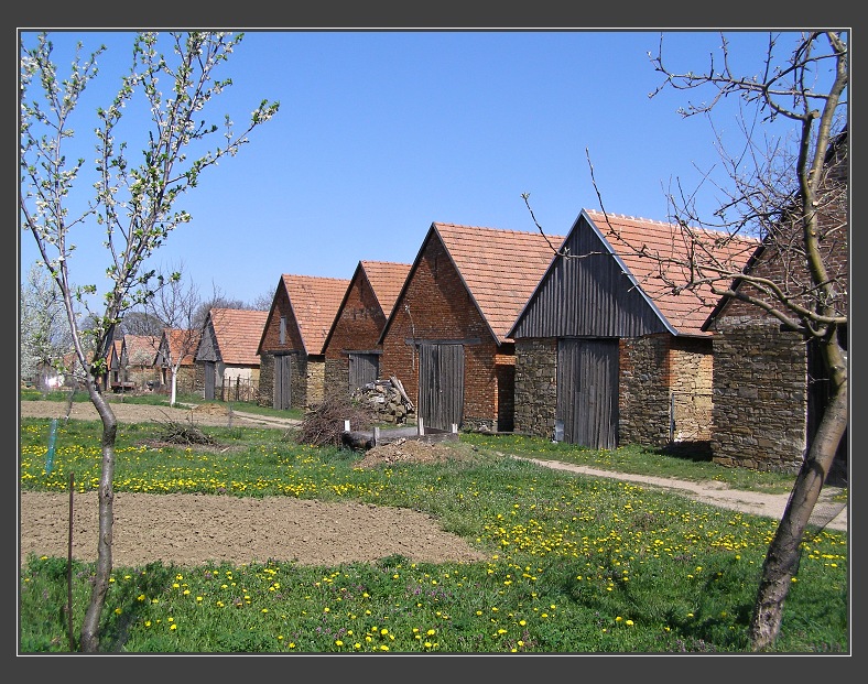 Kuželov, větrný mlýn