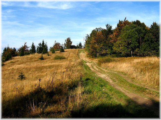 Kasárna