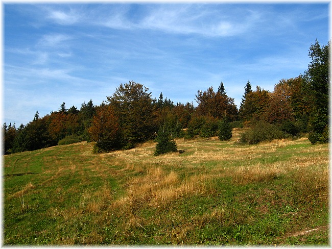 Kasárna