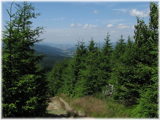 Vysok�