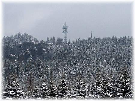 Novom�stsko
