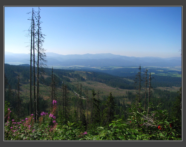 Vysoké Tatry, Kriváň