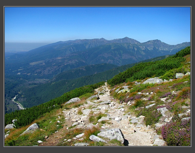 Vysoké Tatry, Kriváň