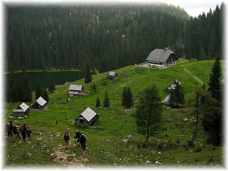 Ko�a na Planini pri Jezeru