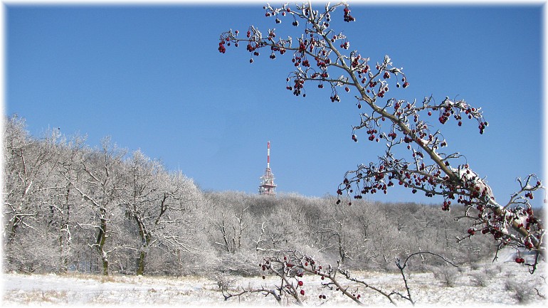 Pálava