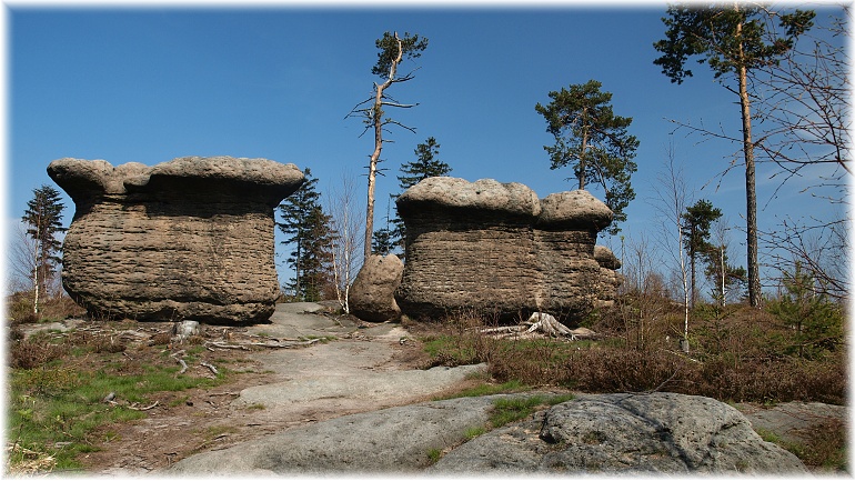 skalní hřiby