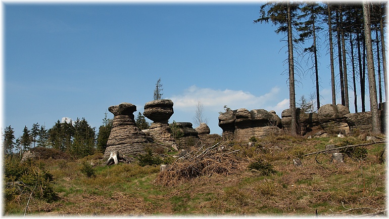 skalní hřiby