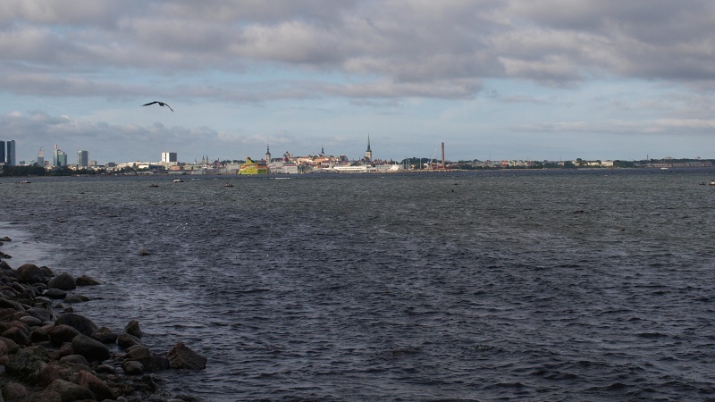 Estonsko - Tallinn, panorama