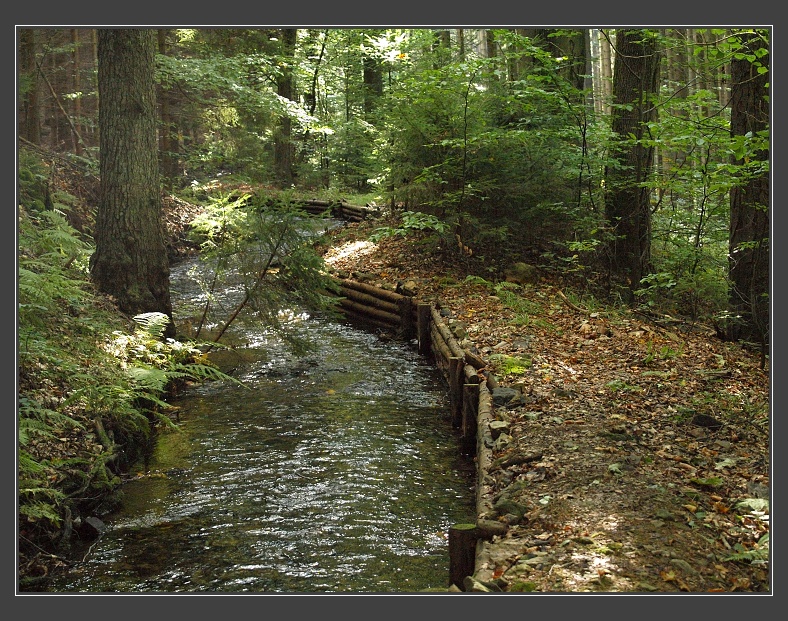 Náhon Teplé Bystřice