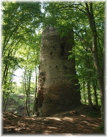 zřícenina hradu Chřenovice