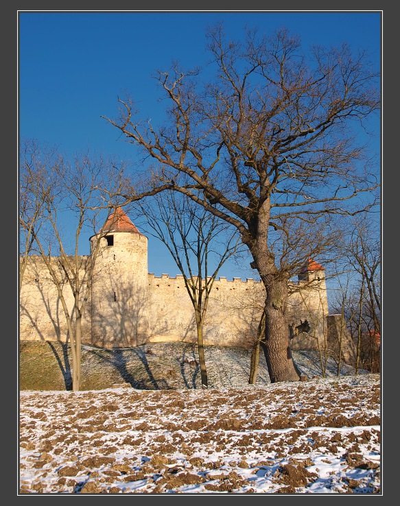 Hrad Veve�� od z�padu