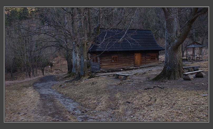 Podžiar