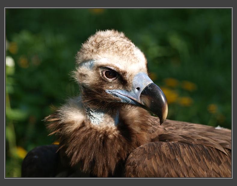 ZOO Praha