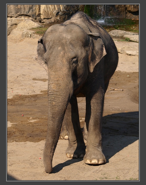 ZOO Praha