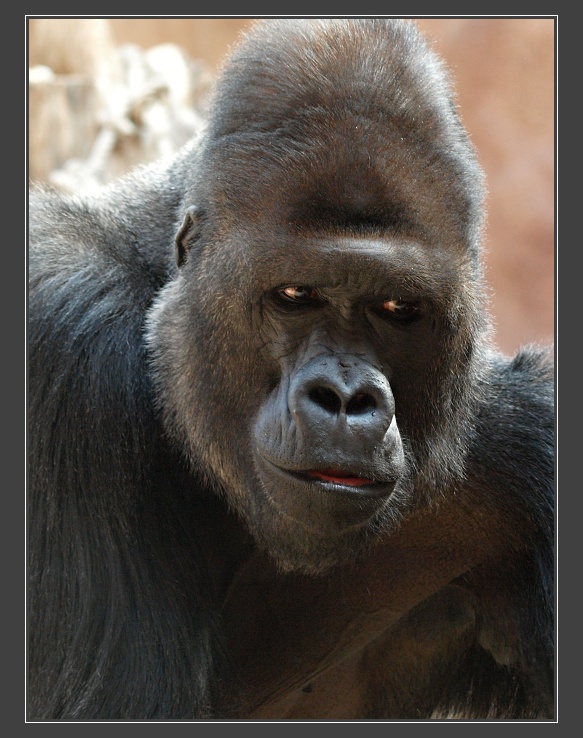 ZOO Praha