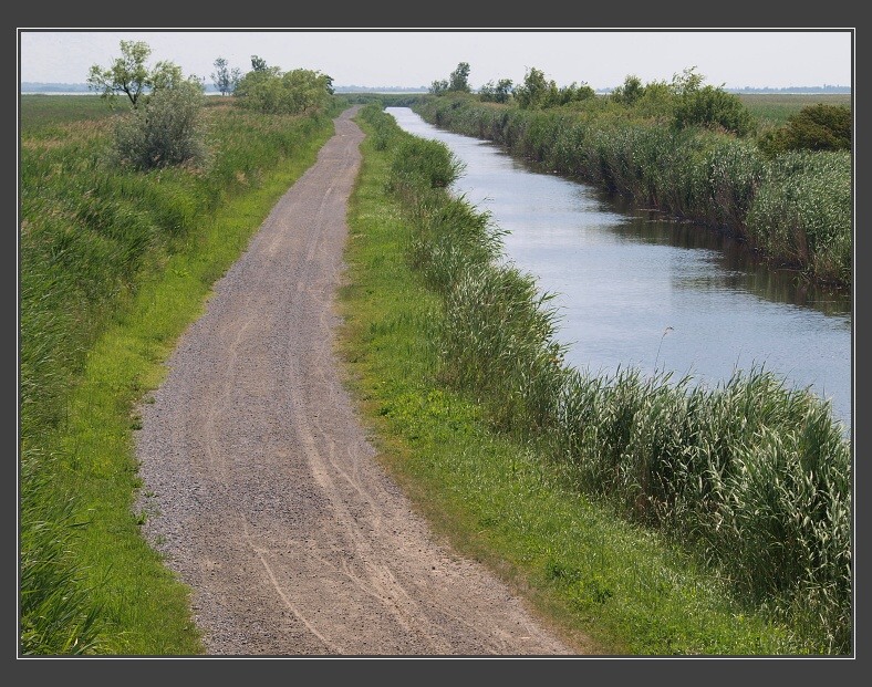 Neziderské jezero, Purbach