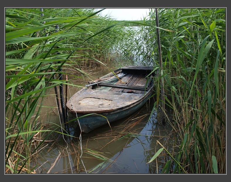 Neziderské jezero, Purbach