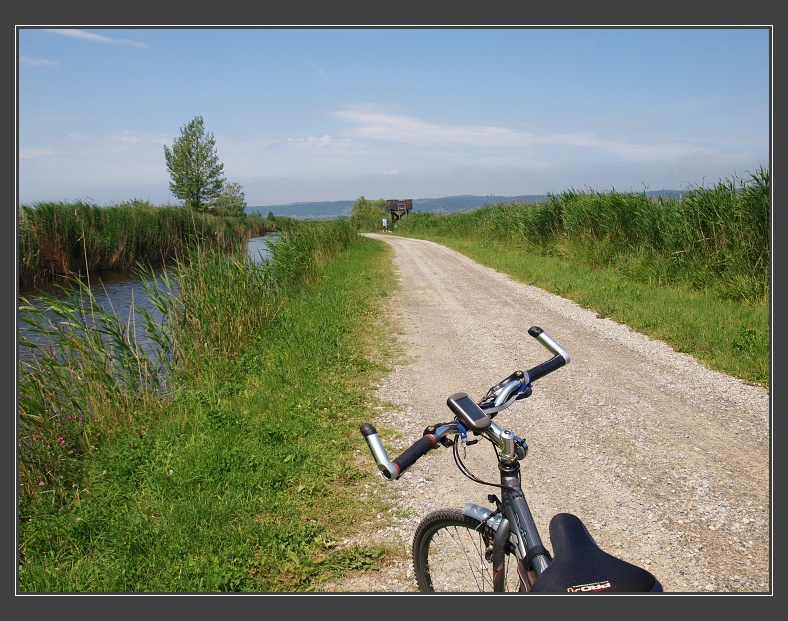 Neziderské jezero, Purbach