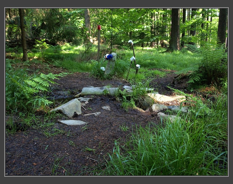 Drahanská vrchovina, pramen Punkvy