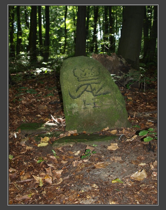 Ždánický les, hraničník poblíž rozcestí U kříže