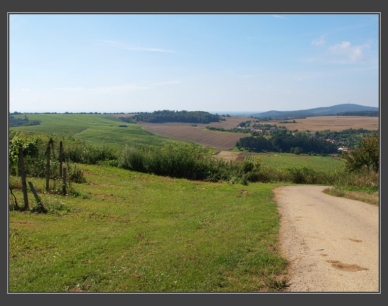 Ždánický les, nad Nechvalínem