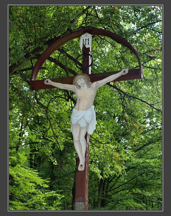 Ždánický les, Těšanka