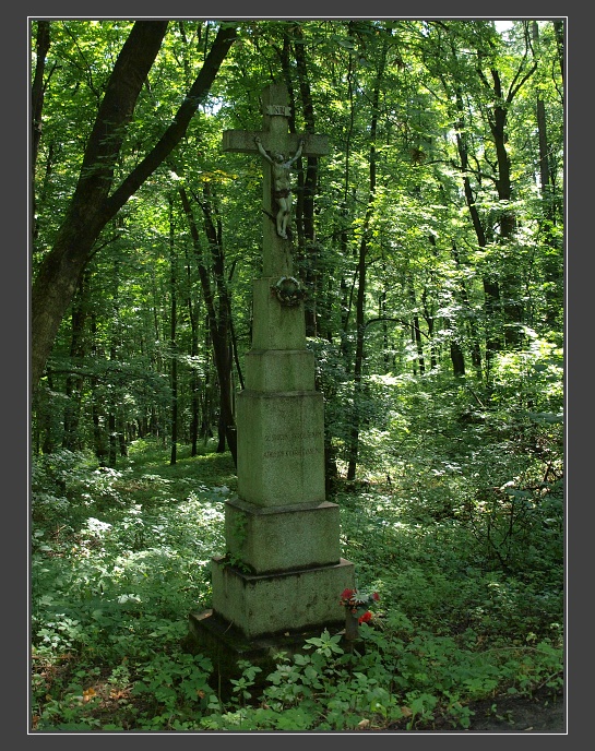 Ždánický les, U Zlatého jelena - kříž