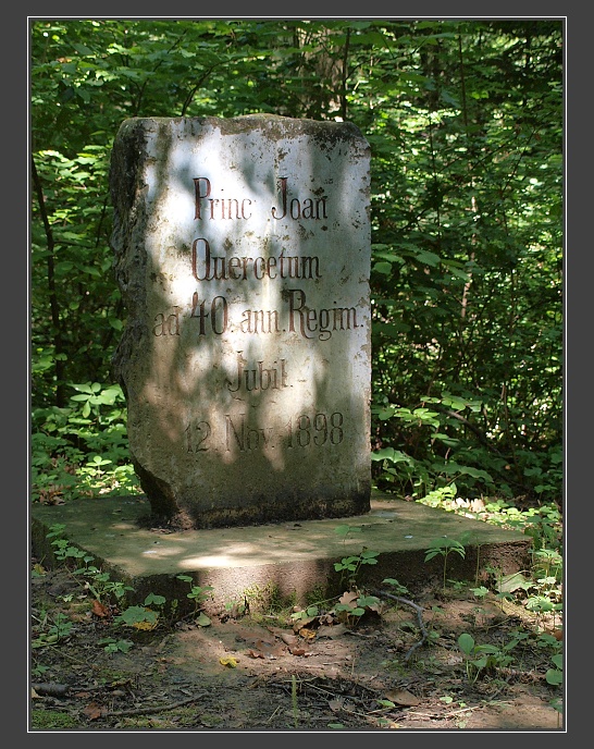 Ždánický les, U Zlatého jelena - Liechtensteinský památník