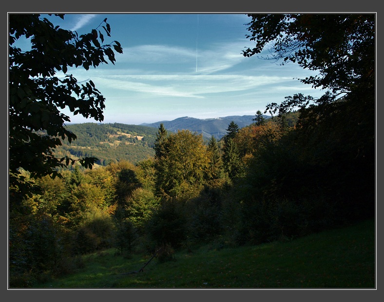 Przegibek