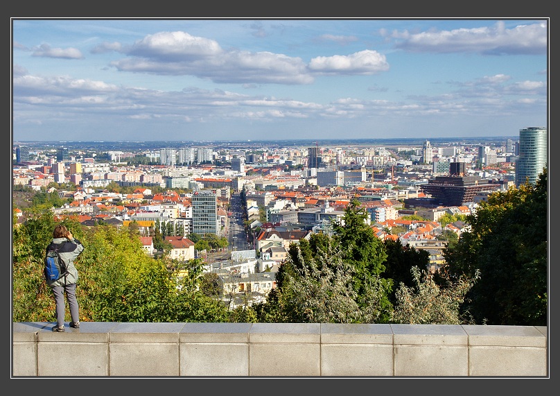 Bratislava, Slavín
