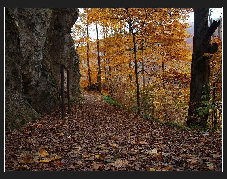 Moravský kras, jeskyně Jáchymka
