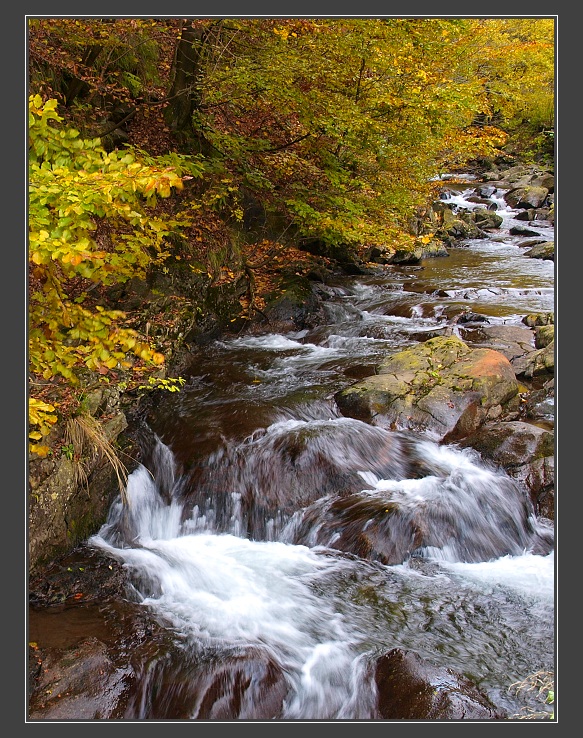 údolím Divoké Desné