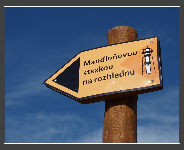 Hustopeče, mandloňový sad