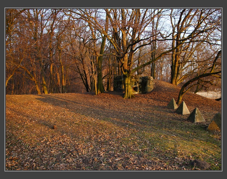 Pohansko