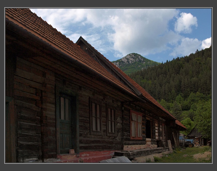 Stankovany