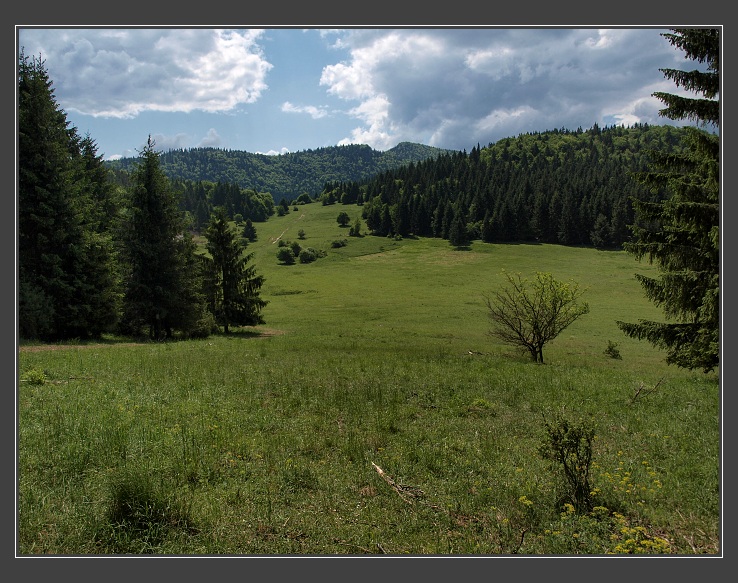 �a�kovsk� sedlo