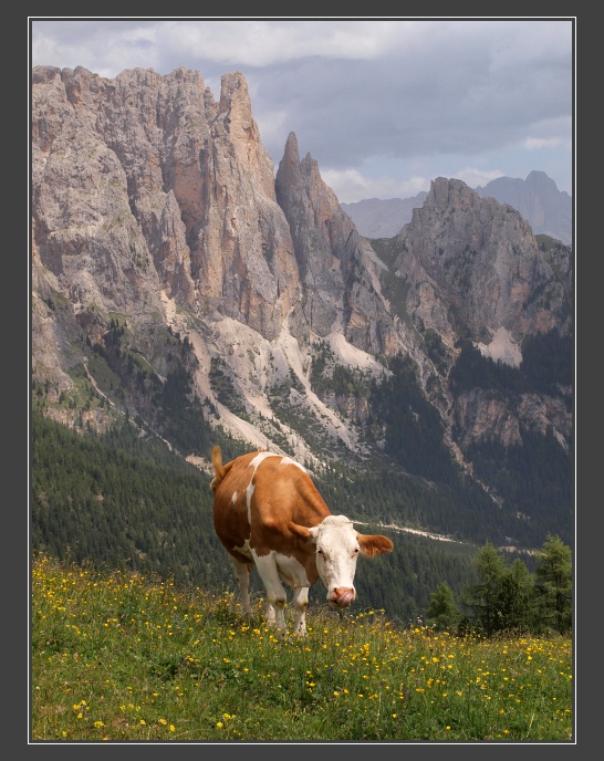 Dolomity