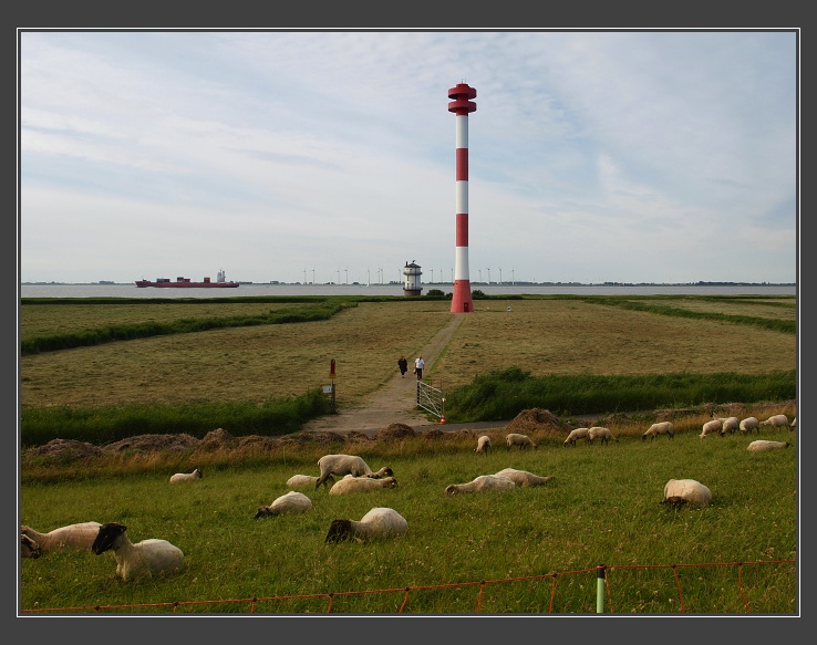 Elberadweg/Labská cyklostezka - Balje
