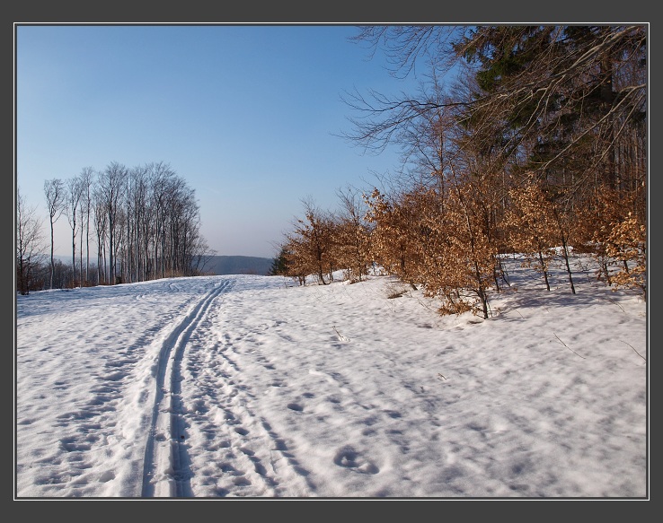 Z Javořiny ke Kamenné boudě