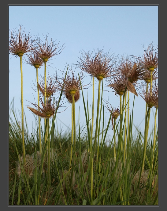 PP Cínová hora u Znojma