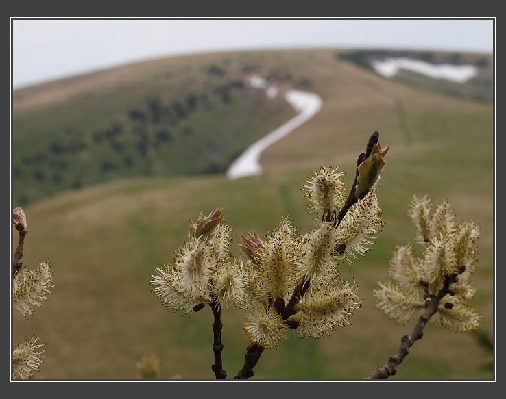 Velká Fatra - z Kraľovy studně na Borišov