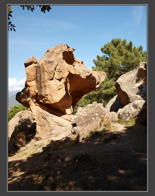Les Calanques, La Tete du chien