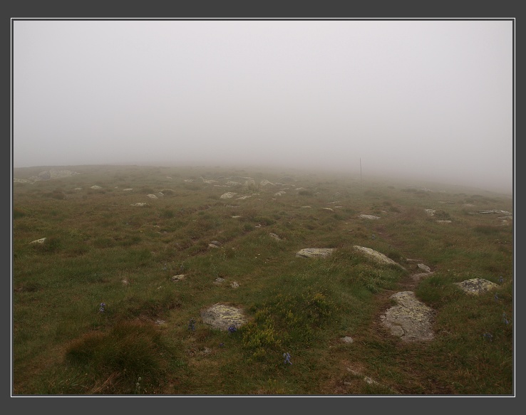 Nízké Tatry, Kráľova hoľa