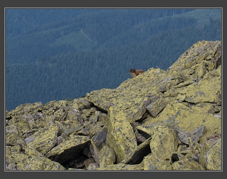 Nízké Tatry, Bartková